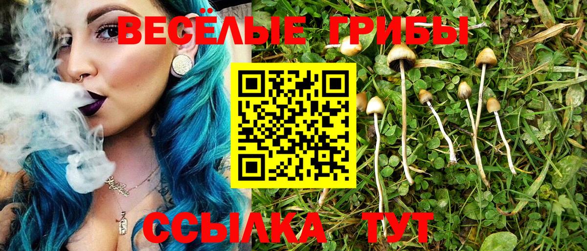 Псилоцибиновые грибы ЛСД Златоуст